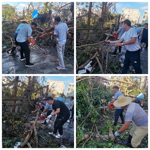 【实时更新】长流墟社区继续开展台风灾后道路清障及环境清理整治工作