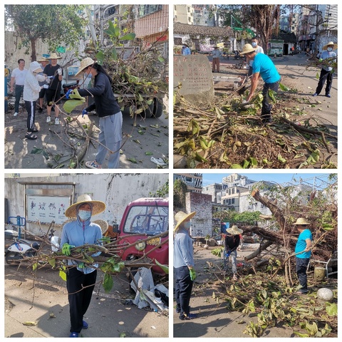 长流墟社区开展台风“摩羯”灾后爱国卫生运动