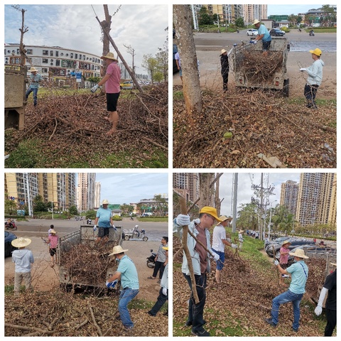 【实时更新】长流墟社区继续做好台风灾后道路清障及环境清理整治