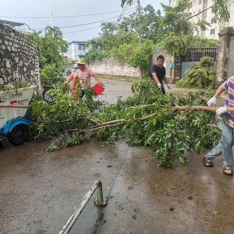 长流墟社区网格志愿者联合环卫全力开展道路清障工作