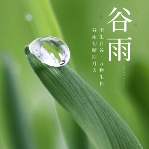 【成长·传承】知谷雨，润童心——刘诗昆万象新天幼儿园大班组谷雨节气主题活动