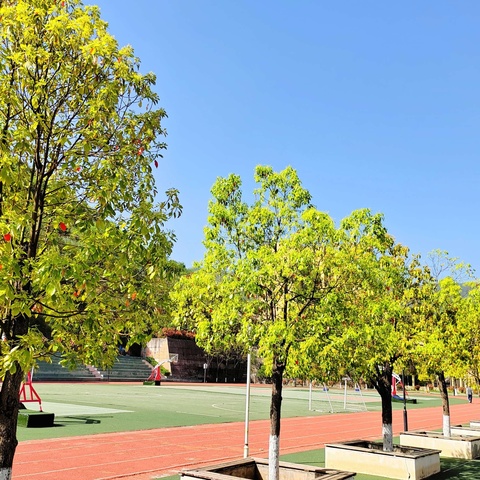 家校共育小课堂（第56期）-这5样东西，请给足孩子！