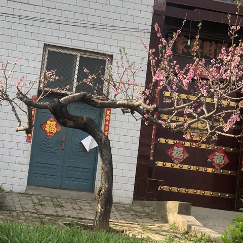 春天的足迹