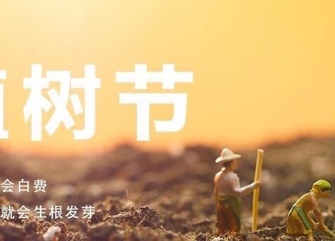 “植树护绿争环保、美化生活创文明”——记南江中心小学201班植树节活动