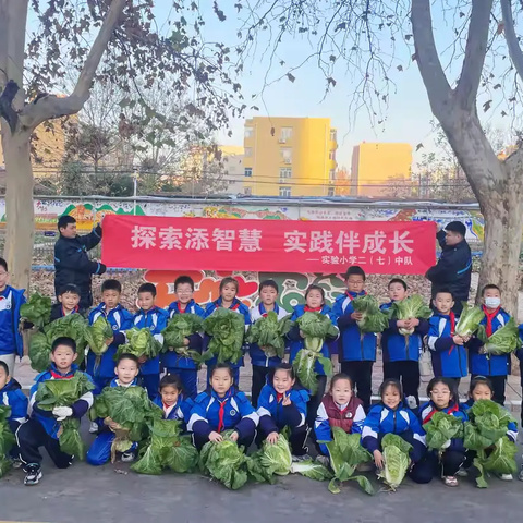 初冬收获季 劳动促成长