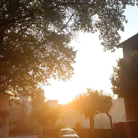 记我在川维的生活