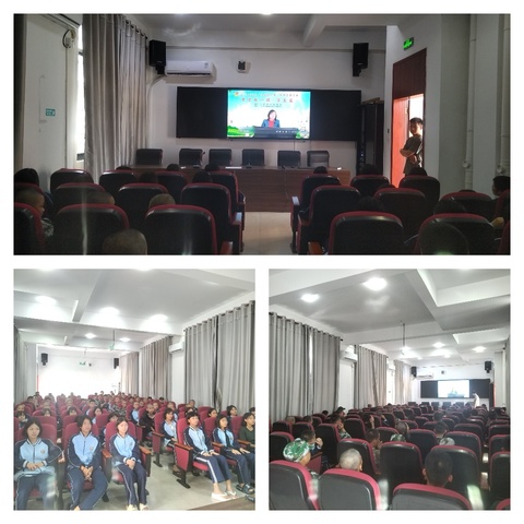 东方市感恩学校2025年春季学期开展12355心理热线教育主题