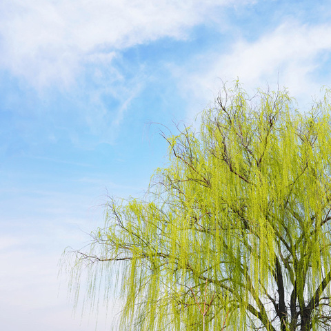 撷英拾萃  行而致远﹣﹣记天山区第五批初中数学名师工作室三月研修活动