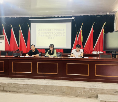 桑梓店街道召开社会救助领域群众身边腐败和作风问题综合治理工作推进会