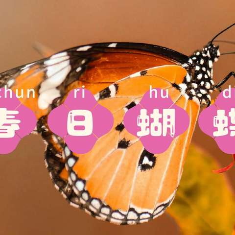 创意手工“春日蝴蝶🦋”——宜辉幼儿园大三班