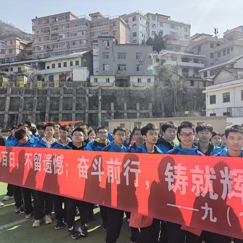 百日扬鞭策马，六月似锦繁花