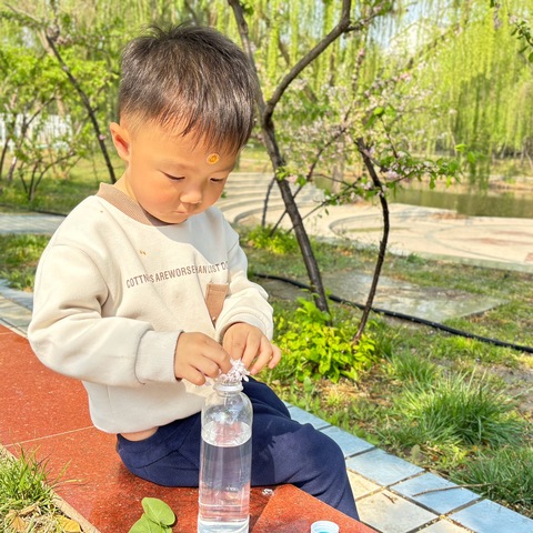 大成幼儿园小三班《把春天装进瓶子里》￼活动