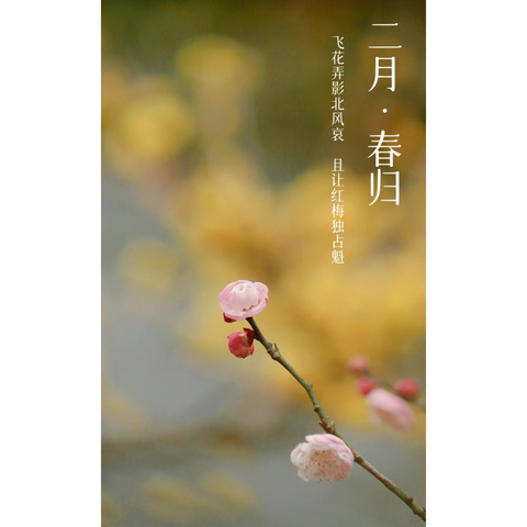 澜湾物业2025年2月物业服务月报