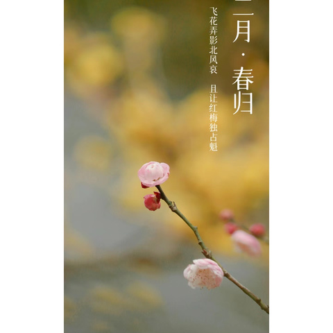 水晶屿物业2025年2月物业服务月报