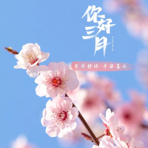 澜湾物业2025年3月物业服务月报