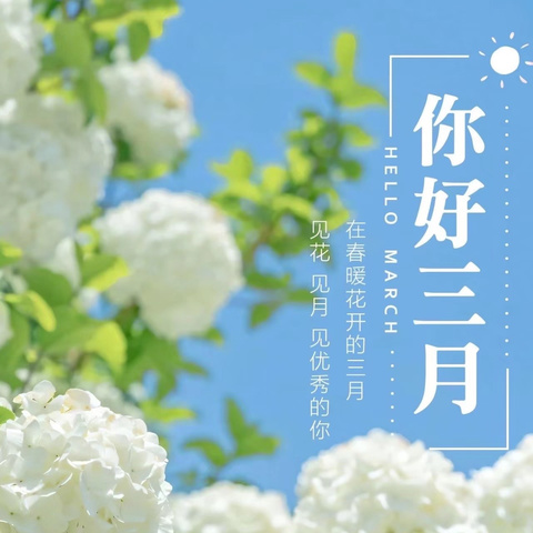 水晶屿物业2025年3月物业服务月报