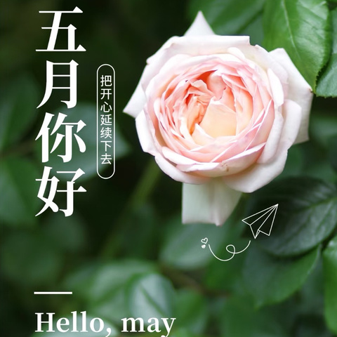 水晶屿物业2025年5月物业服务月报