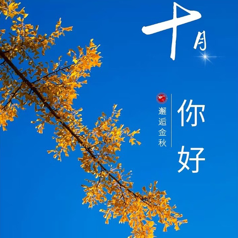 水晶屿物业2025年10月物业服务月报