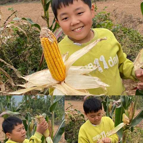 10.7四一班德育作业