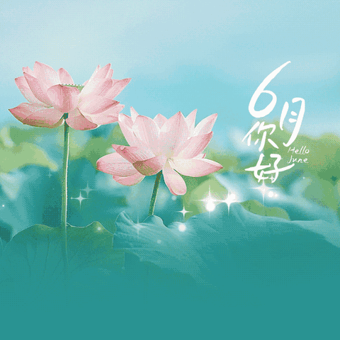 雨荷