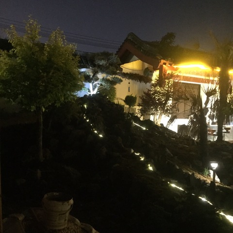 人生