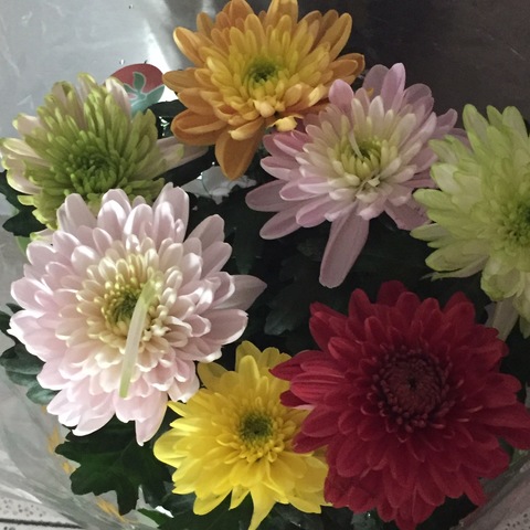 寒衣节