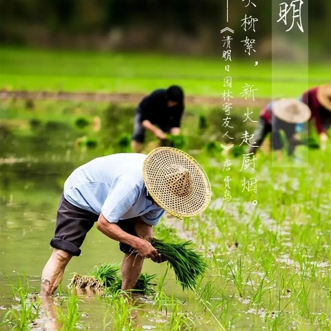 【放假通知】郑家镇中心小学2024年清明节放假通知及温馨提醒