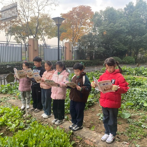 劳动+| 劳”以启智，“音”以润心——合肥市琥珀名城小学教育集团包公分校“劳动+”课程学习实践活动（四）