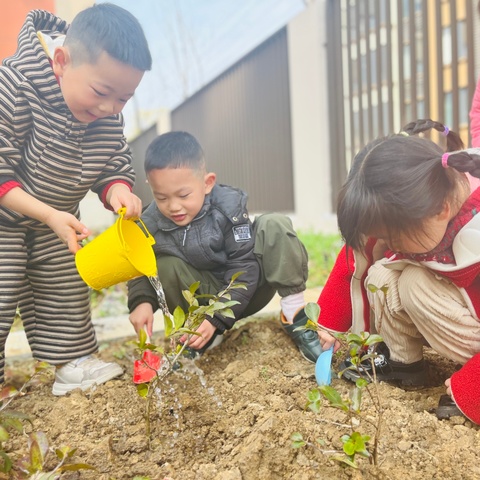 【春暖花开•“植”得期待】 东西湖区悦府启真幼儿园植树节活动