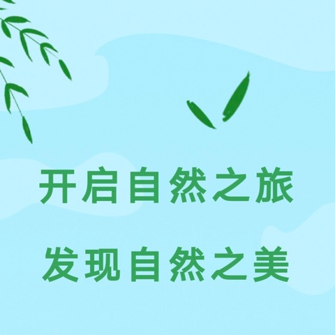 开启自然之旅 发现自然之美——车寨小学四（2）班亲近自然的活动