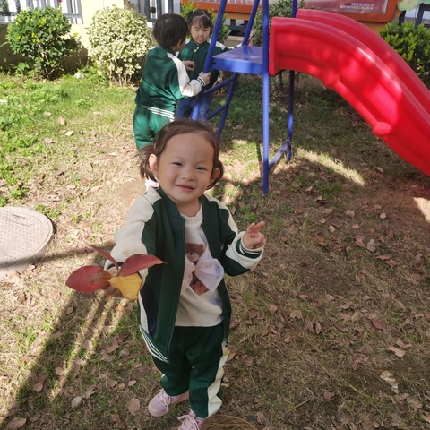 中二班自主游戏案例——《有趣的树叶》