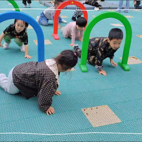 海天水岸阳光幼儿园第十一周知识汇总