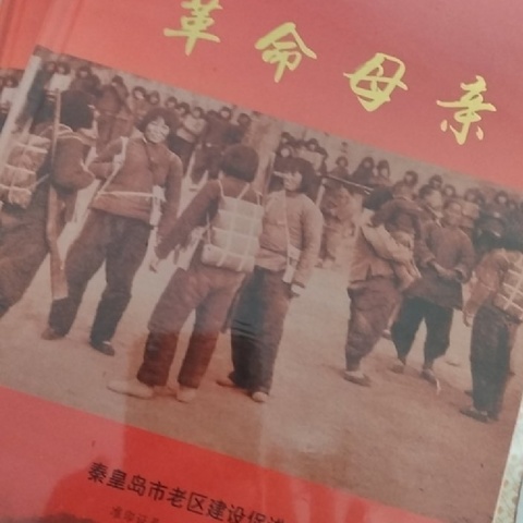 抚宁区革命老区建设促进会为革命母亲送书