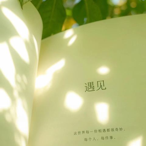 [悦读]纸上光阴，陌上花开——罗山四中七（9）班摘抄优秀作品展