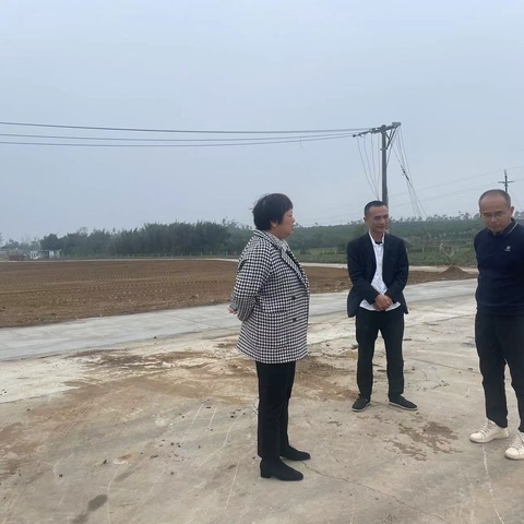 美兰区副区长刘娜到各镇开展农业安全生产工作