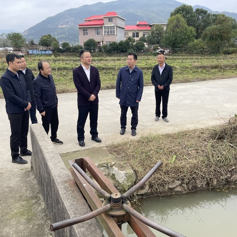 副市长刘仁羿在芦溪县中埠村调研乡村振兴工作