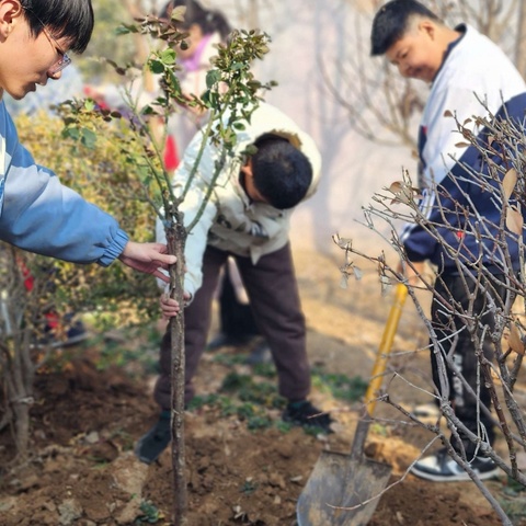 【临西特教】“植”此青绿 美我校园——植树节主题活动