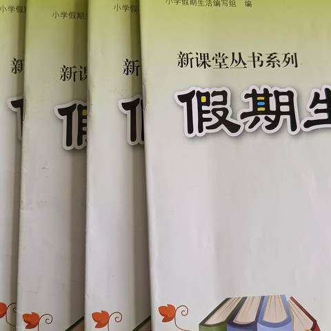 与“数”同行，不负“暑”柳树屯小学五年级数学暑假作业展示