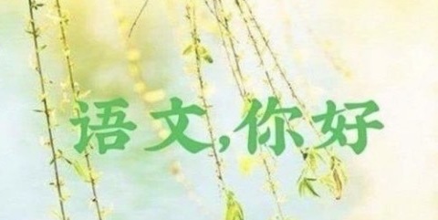 不负春光，“语”君共赏——临川十六中高中语文教研组公开课纪实