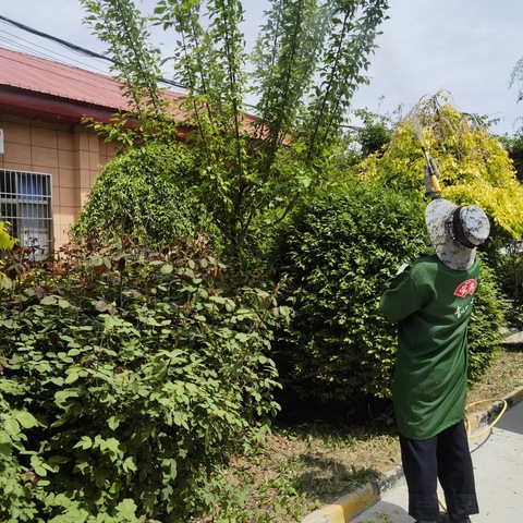 养护花草树木    创建美好就医环境