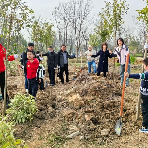 民革马鞍山三个基层支部联合开展义务植树活动