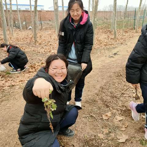 【实初李营】踏青田间觅春趣，师生游学荠菜香——济宁市实验初中李营校区多“采”游学课程