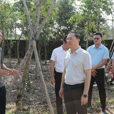 高度重视，及时化解