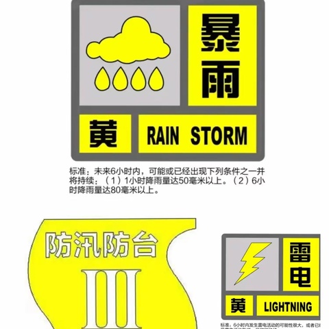 暴雨“大考”，桃浦镇风雨兼程，同舟共济