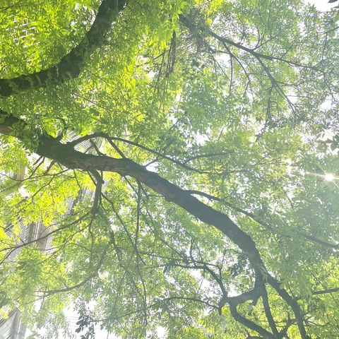 《春的踪迹，少年的心绪》