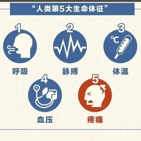 正视疼痛，守护健康