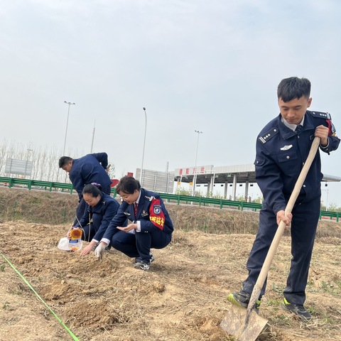 向阳花开 播种希望