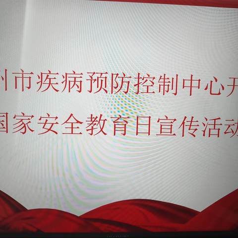 国家安全，你我共筑—儋州市疾病预防控制中心开展全民国家安全教育日主题活动