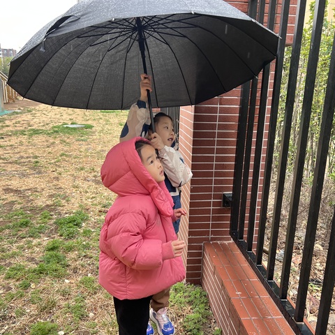 春意萌动，“雨”你同乐