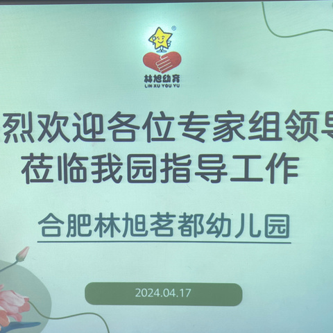 【以检促优，笃行致远】——合肥林旭茗都幼儿园2024年度年检评估工作